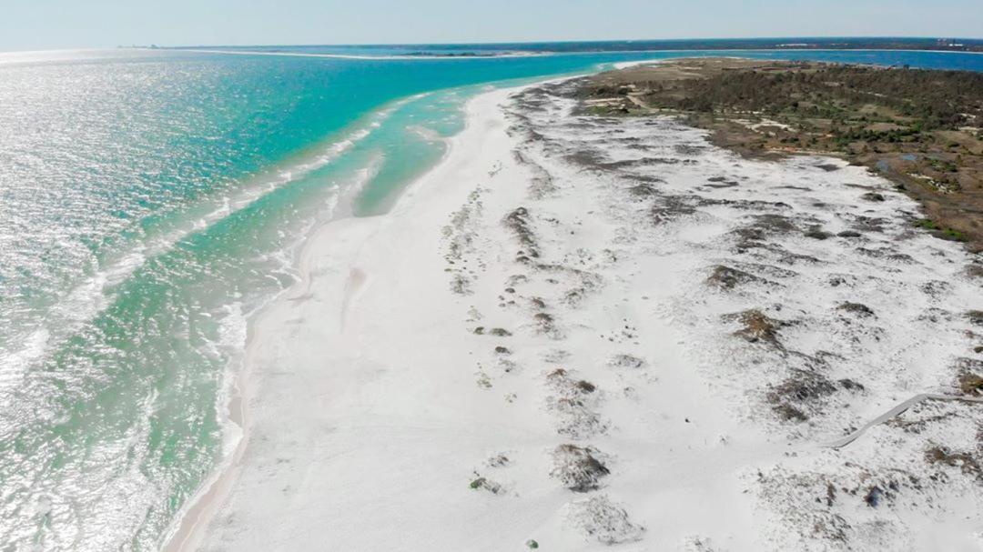 Private, Quiet-Close To Dwntn Pensacola, Stadium, Beaches Villa Exterior foto